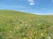 2013-06-08 Monte Corno e Monte Tilia 0072