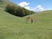 2013-06-08 Monte Corno e Monte Tilia 0078