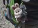 2013-07-03-Monte-Argentella-005