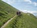 2013-07-03-Monte-Argentella-023