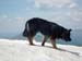 2013-07-03-Monte-Argentella-063