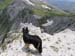2013-07-03-Monte-Argentella-067