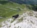 2013-07-03-Monte-Argentella-068