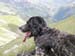 2013-07-03-Monte-Argentella-072