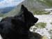 2013-07-03-Monte-Argentella-073