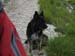 2013-07-04-Rifugio-Zilioli-012