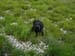 2013-07-04-Rifugio-Zilioli-013