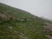 2013-07-04-Rifugio-Zilioli-019