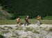 2013-07-06-Monte-Vettore-012