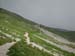 2013-07-06-Monte-Vettore-021