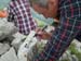2013-07-06-Monte-Vettore-074