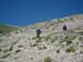 2013-07-06-Monte-Vettore-094