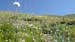 2013-07-27-28 Notturna a Pizzo Cefalone 251