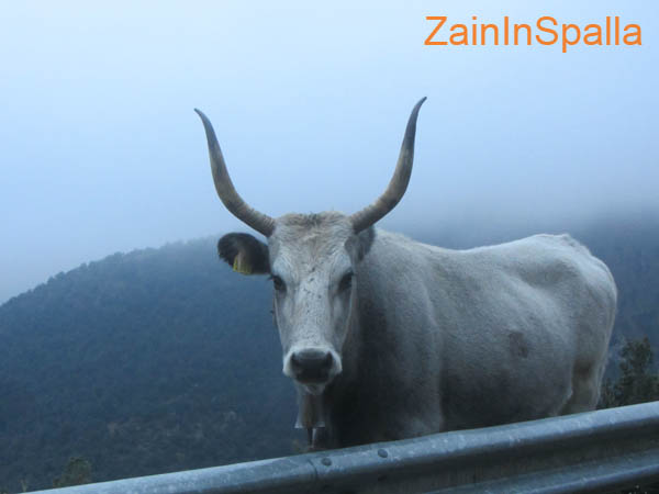 2014-01-04 Monte Malaina 0001