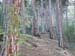 2014-10-04 Serra di Celano 0015