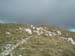 2014-10-04 Serra di Celano 0430