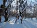 2015-02-14 Cima del Morretano 000031