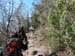 2015-03-28 Monte Tancia 00032