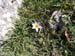 2015-03-28 Monte Tancia 00100