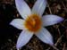 2015-03-28 Monte Tancia 00183