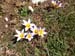 2015-03-28 Monte Tancia 00217