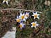 2015-03-28 Monte Tancia 00229