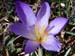 2015-03-28 Monte Tancia 00303