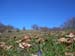 2015-03-28 Monte Tancia 00344