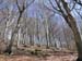 2015-03-28 Monte Tancia 00393