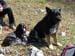 2015-03-28 Monte Tancia 00436