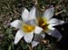 2015-03-28 Monte Tancia 00458