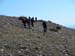 2015-03-28 Monte Tancia 00482