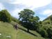 2015-05-30 Lago della Duchessa e Cima ZiS 00319