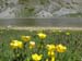 2015-05-30 Lago della Duchessa e Cima ZiS 00421