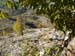 2015-10-24 Monte Magnola 0085