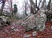 2016-01-09 Anello Valli Lucretili 015