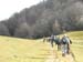 2016-01-09 Anello Valli Lucretili 401
