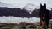 2016-01-30 Monte Orsello 0041