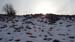 2016-01-30 Monte Orsello 0099