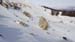 2016-01-30 Monte Orsello 0358