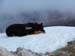 2016-01-30 Monte Orsello 0602