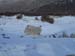 2016-01-30 Monte Orsello 0784