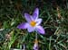 2016-02-13 Monte Cairo 0399