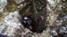 2016-02-13 Monte Cairo 0409