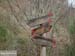 2016-02-20 Monte Cervia 0055