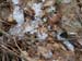 2016-02-20 Monte Cervia 0056