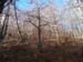 2016-02-20 Monte Cervia 0112
