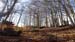 2016-02-20 Monte Cervia 0154