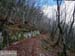 2016-02-20 Monte Cervia 0191