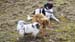 2016-02-20 Monte Cervia 0249